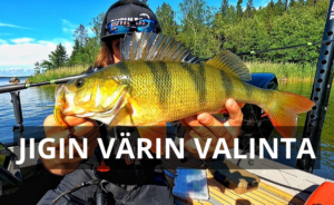 Read more about the article Jigin värin valinta – Mitä värejä mihinkin järvelle?