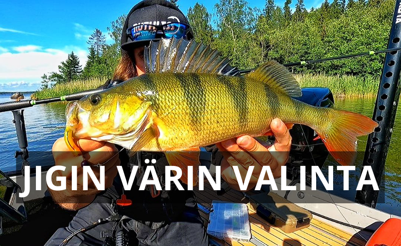 You are currently viewing Jigin värin valinta – Mitä värejä mihinkin järvelle?