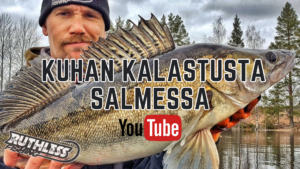 Read more about the article It’s A Video Sunday! | Kuhan kalastusta salmessa