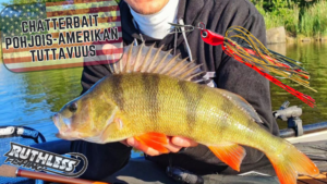 Read more about the article Ruthless Chatterbait – Pohjois-Amerikan tuttavuus